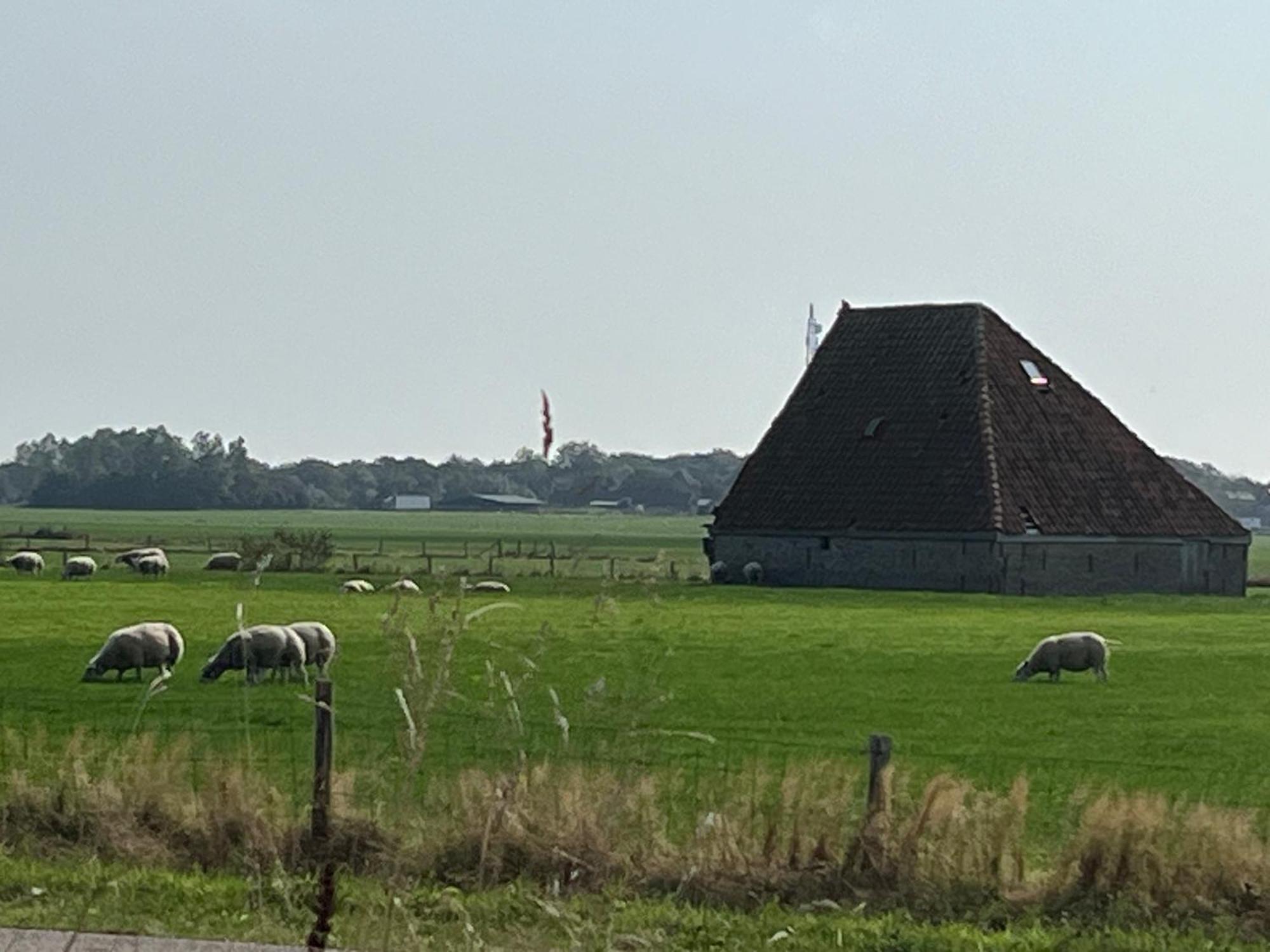Gastsuite Het Duinroosje Met Hottub Op Het Prive Terras! Den Burg Eksteriør bilde